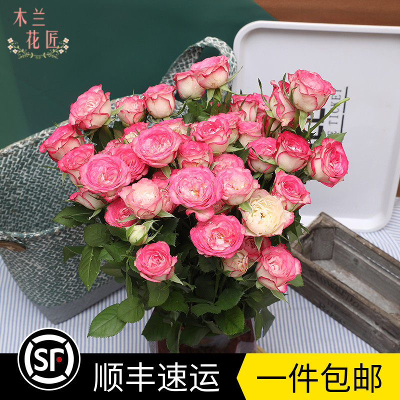 狂欢泡泡多头玫瑰 价格 怎么样 图片