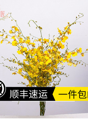 昆明跳舞兰鲜花黄色室内客厅婚礼插花高品质装饰花农直销捧花包邮