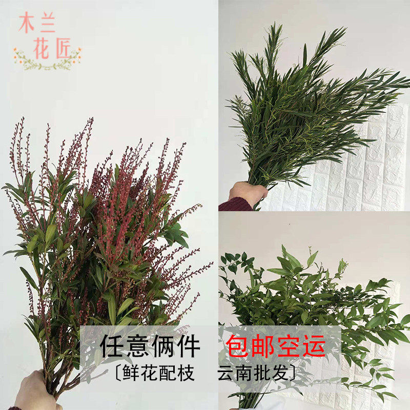 新鲜山里红清香木金合欢桉树叶天竺少女万年青配叶婚庆圣诞节包邮