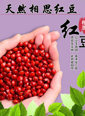 天然相思红豆散珠DIY饰品配件