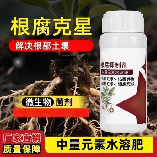 F根腐克星死苗烂根立枯软腐专用农用生根微生物菌剂烂根专用液50