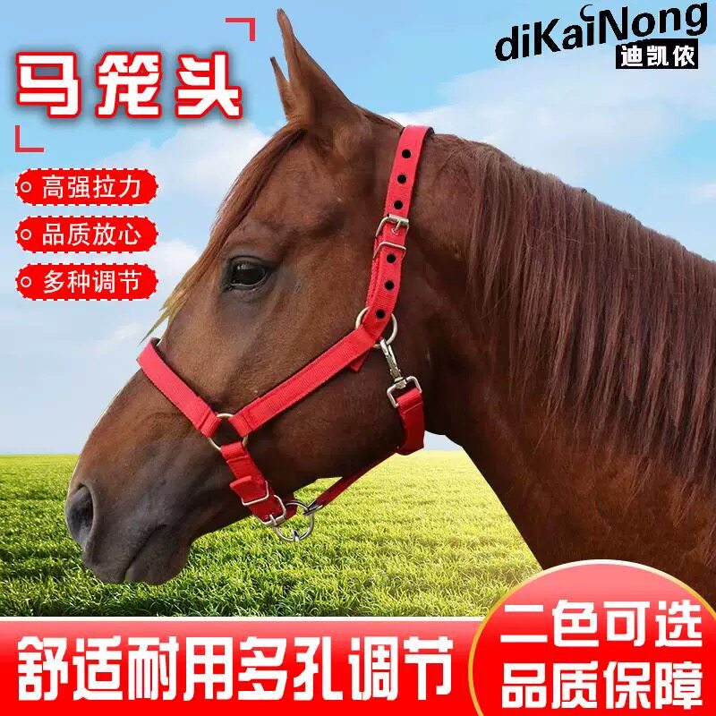 迪凯马具马笼头绳子马术用品大小牵马/调教龙头
