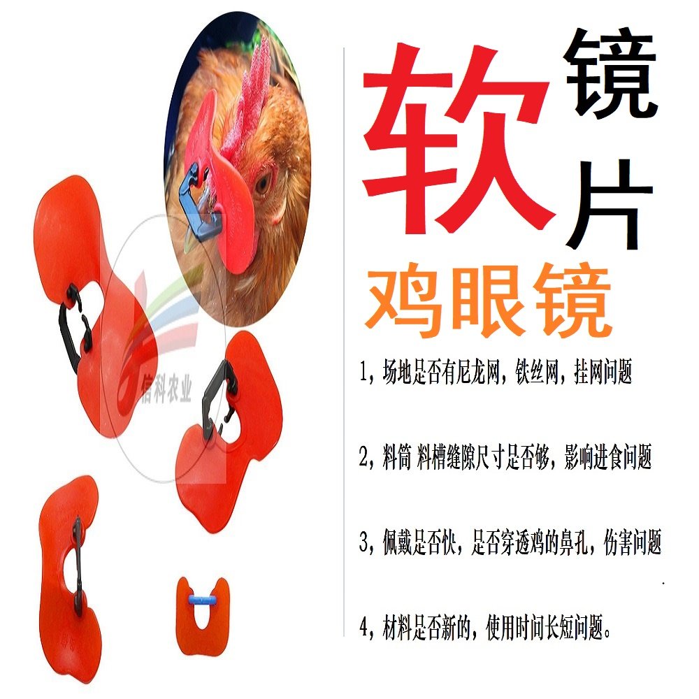 第十代软鸡罩镜片 野鸡专用防挂网无栓鸡眼镜七彩山鸡专用鸡眼镜