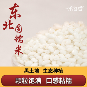 一禾谷香东北糯米江米圆糯米五谷杂粮新粮包粽子米八宝粥米酒原料