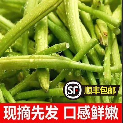 新鲜黄花菜现摘现发忘忧草新鲜金针菜凉拌蔬菜农家野菜山东土特产