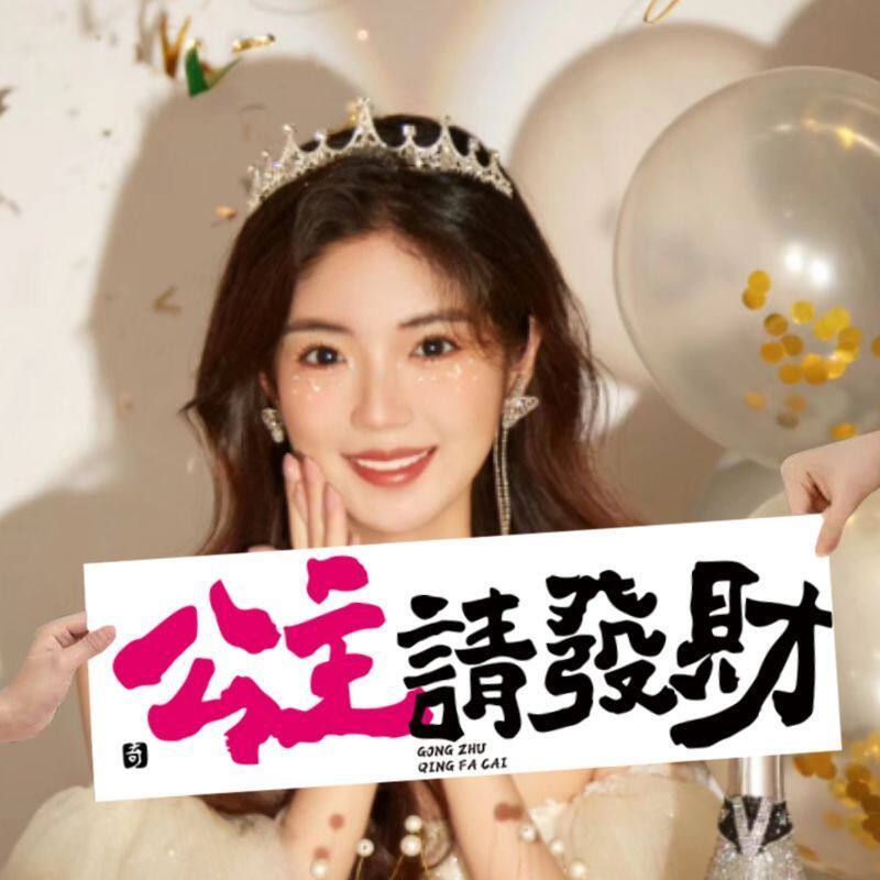 公主庆生高级氛围感手持横幅网红出片装饰拍摄道具多巴胺ins风