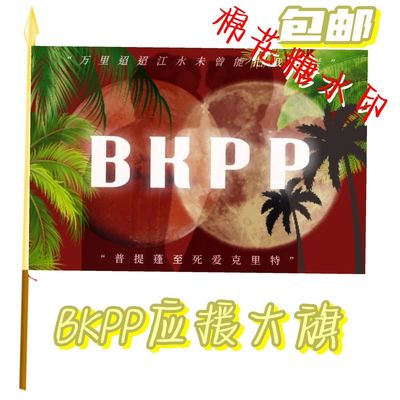 BKPP应援大旗马群耀林祎凯CP应援大旗音乐节bkpp应援旗演唱会大旗
