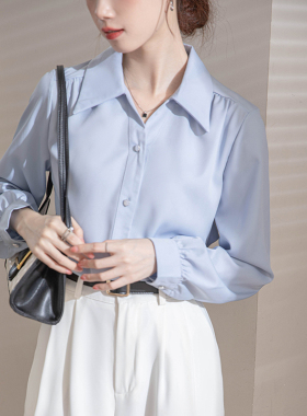 2025实拍秋装新款长袖韩版纯色雪纺衫OL职业通勤气质纯色上衣女