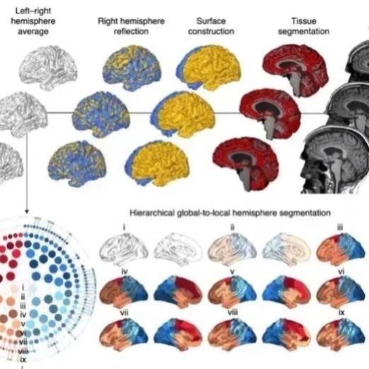 分子动力学模拟/互作模拟/分子对接/蛋白对接/分子对接/蛋白对接