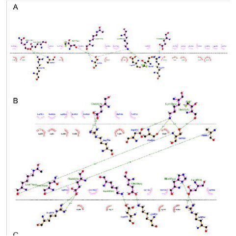 分子动力学模拟 分子动力学代算 生物分子计算 amber gromacs代算