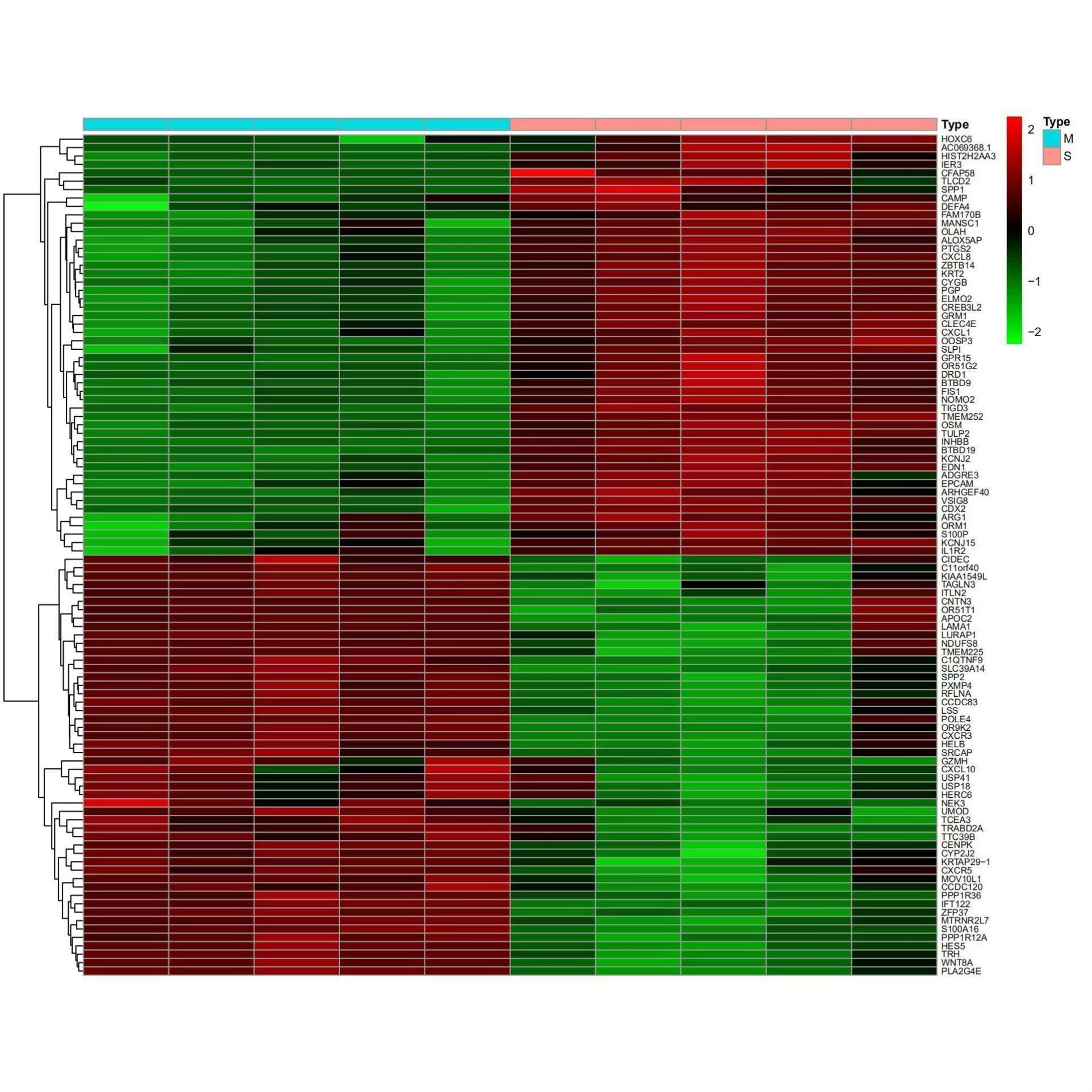 实验设计外包病理检测生信分析服务