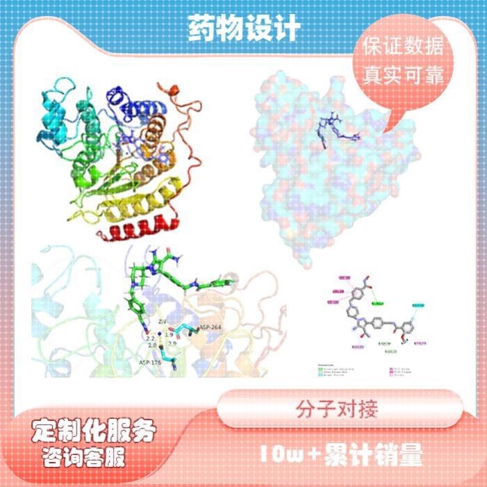 分子对接虚拟筛选药物设计网络药理学动力学糖基化修饰/磷酸化