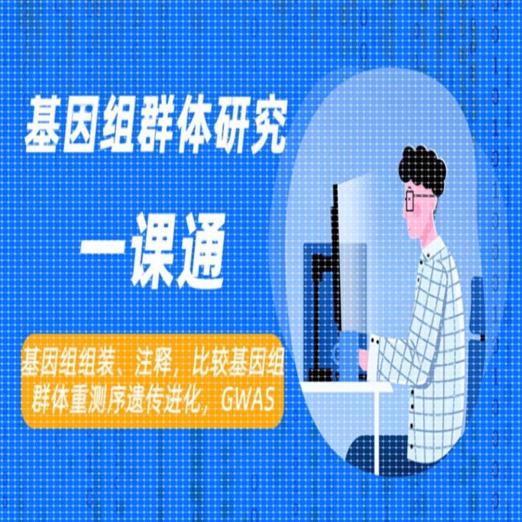 比较基因组组装与注释 群体研究 重测序 群体遗传进化GWAS分析课