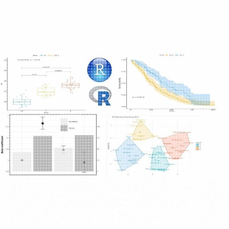 R语言代做 R程序 数据分析 R代码数据挖掘 R数据处理统计回归代做