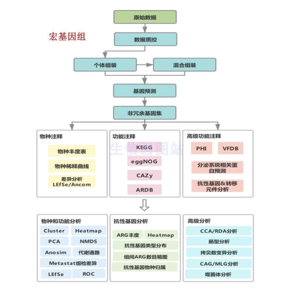生信分析聚类热图圆圈热图GEO数据挖掘TCGA数据分析