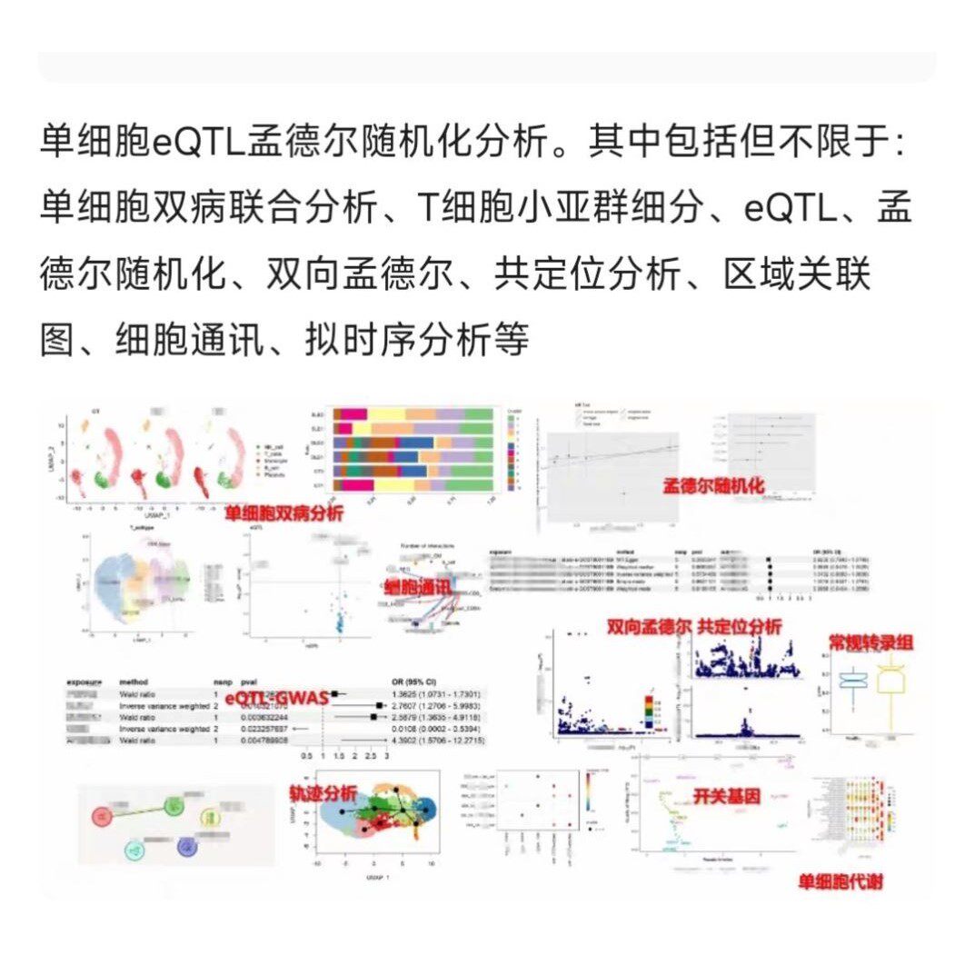 火山气泡柱状GSEA曲线图生信分析作绘图定制数据报告