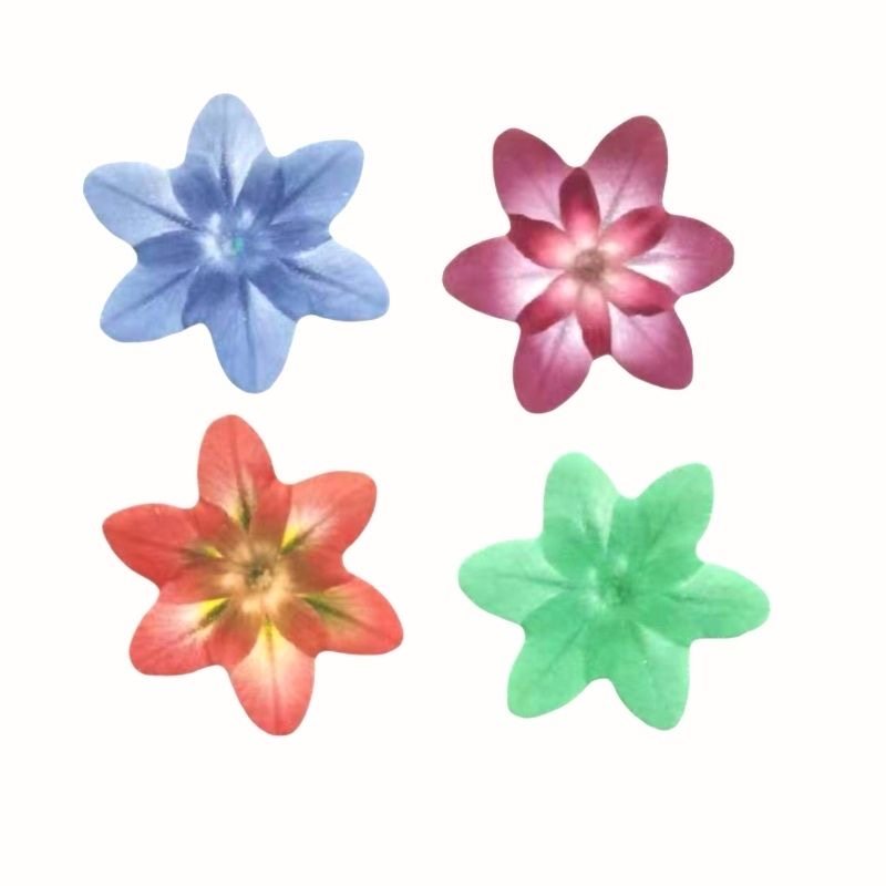 可以吃的糯米纸洋兰花摆盘花酒店餐盘酒席餐桌火锅店凉菜点缀装饰,厨房/烹饪用具,烘焙用纸,淘宝优惠券,粉丝福利购,淘宝优惠卷