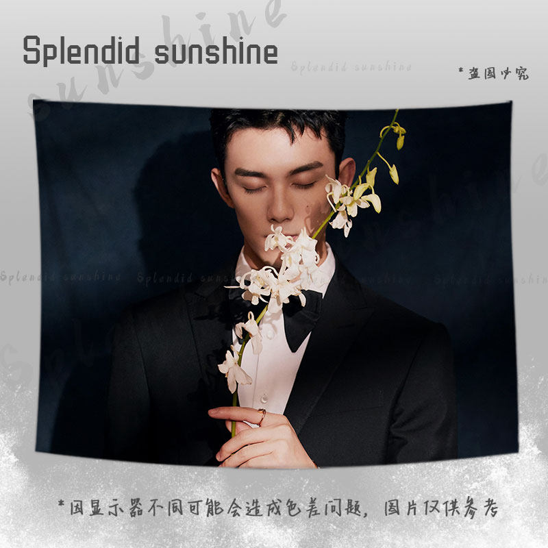 吴磊男明星周边应援背景布挂布宿舍寝室床头墙布网红挂毯装饰背景