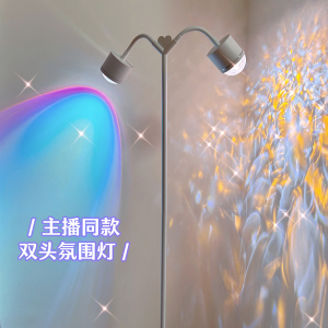 双头水波纹氛围灯心形落地夕阳灯网红日落灯直播专用背景装饰灯