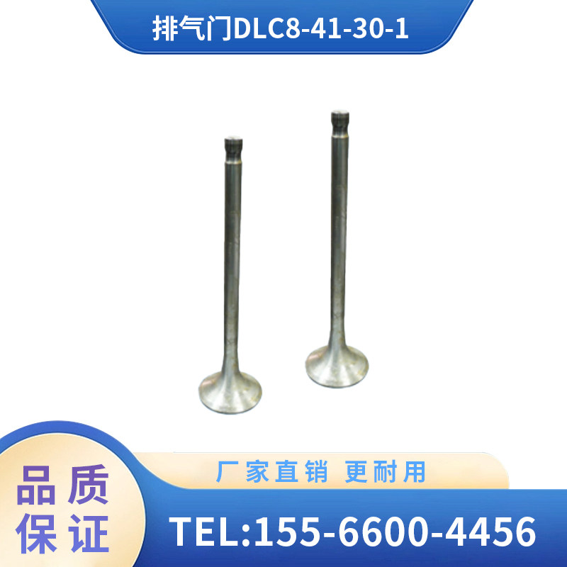 辽宁广源 铁路配件 排气门DLC8-41-30-1高效排气降低能耗散热性好