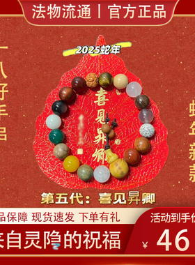 杭州十八籽手串蛇年新款五代18子手链流通处白玉菩提手饰品