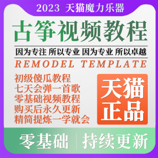 古筝视频教程教学教案袁莎老师零基础自学考级教材曲谱伴老年U盘