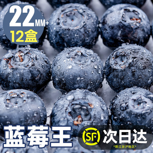 顺丰包邮【蓝莓Top榜】个大纯甜