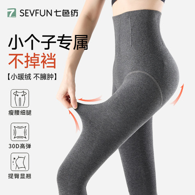 七色纺冬季女士打底裤外穿连裤袜