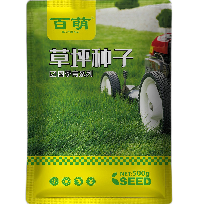 进口草坪种子百萌矮生免修剪
