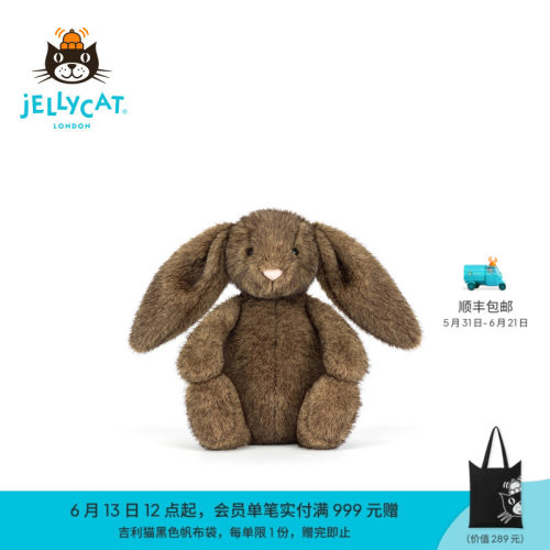 英国Jellycat致臻害羞霍普莱斯敦邦尼兔毛绒玩具礼物2026春夏新品