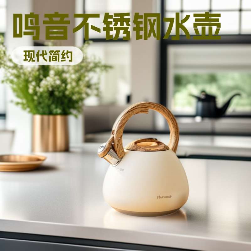 日本进口精工不锈钢烧水壶燃气