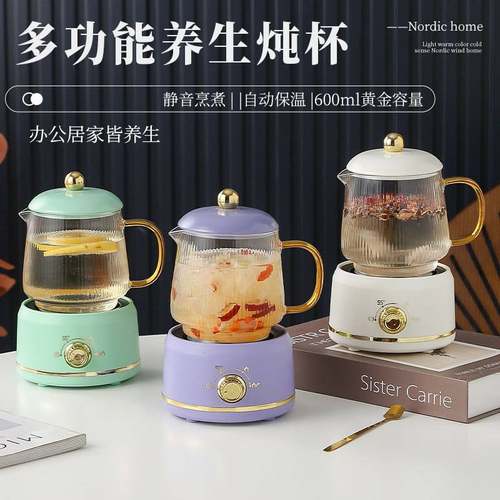 新款养生杯多功能迷你电炖杯