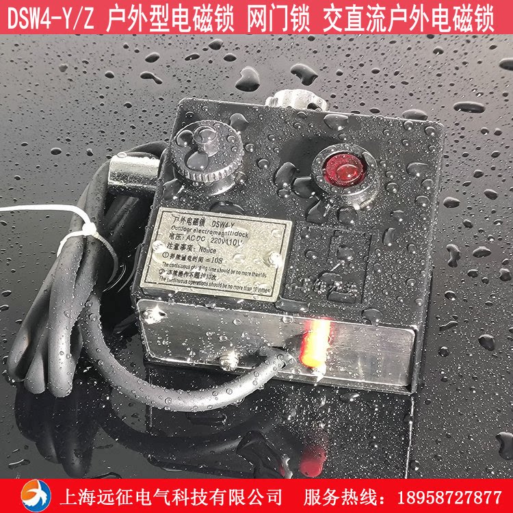dsw4-y/z 户外电磁锁 高压隔离开关柜网门锁 交直流通用防雨门锁