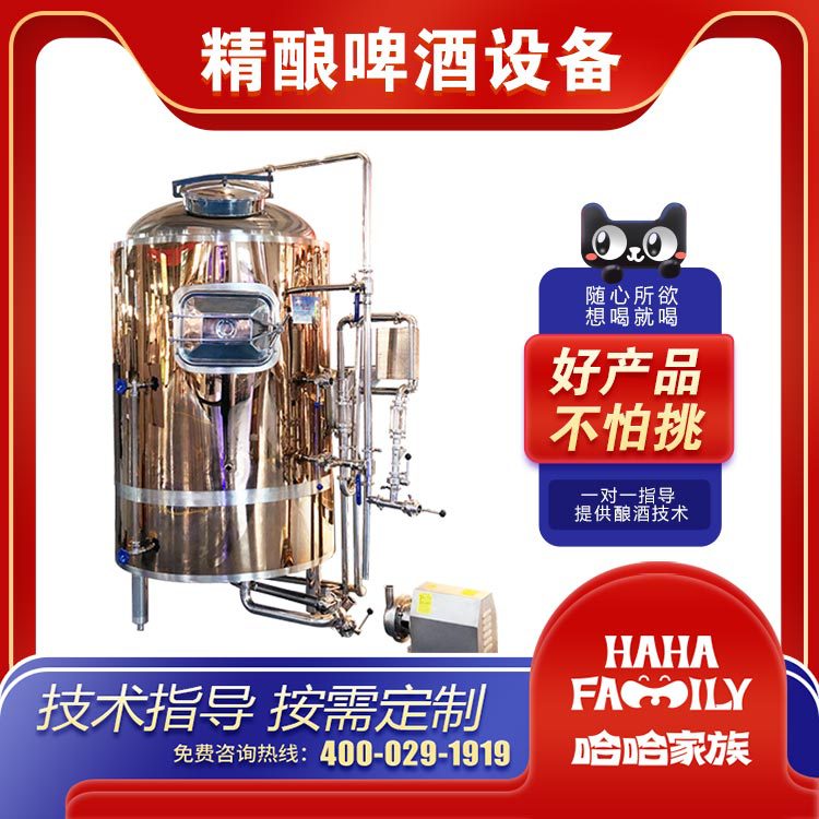 啤酒精酿酿造机械 大型精酿啤酒厂灌装设备 精酿啤酒技术