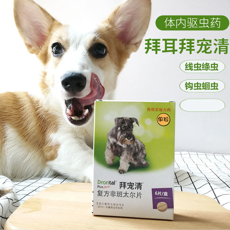 德国拜宠清猫拜耳狗拜耳猫咪狗狗体内驱虫药进口吡喹片除虫打虫药