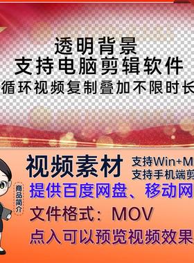 红色大气优秀少先队员队旗大队委竞选中队委人物框视频Pr剪映MOV