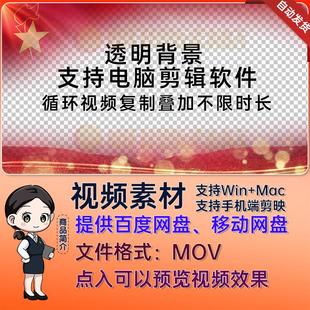 红色大气优秀少先队员队旗大队委竞选中队委人物框视频Pr剪映MOV