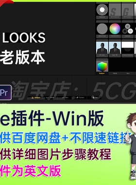 磨皮美颜调色插件套装AE插件 Colorista IV/ LOOKS Film Denoiser