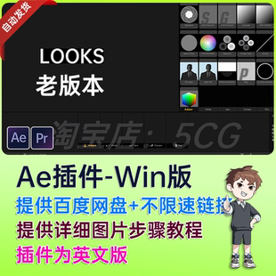 磨皮美颜调色插件套装AE插件 Colorista IV/ LOOKS Film Denoiser