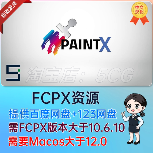 中文汉化FCPX插件 瘦脸液化磨皮插件PaintX视频美颜调色 paintx 4