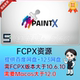 paintx 中文汉化FCPX插件 瘦脸液化磨皮插件PaintX视频美颜调色
