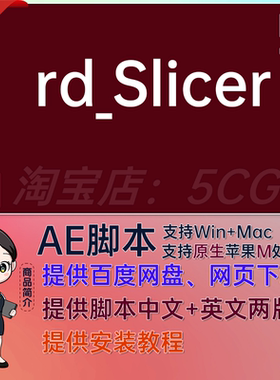 中文汉化AE脚本 rd_Slicer v2.0 图层切割为网格AE插件 RD Slicer