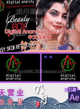 2022.12中文汉化磨皮美颜视频去闪烁AE插件PR插件Digital Anarchy