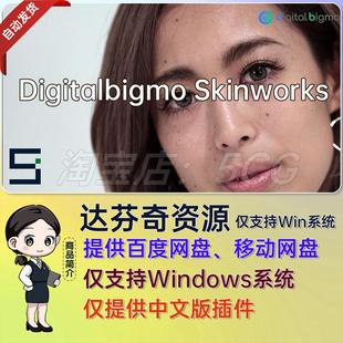 中文汉化磨皮美颜皮肤美白修饰达芬奇插件 Skinworks