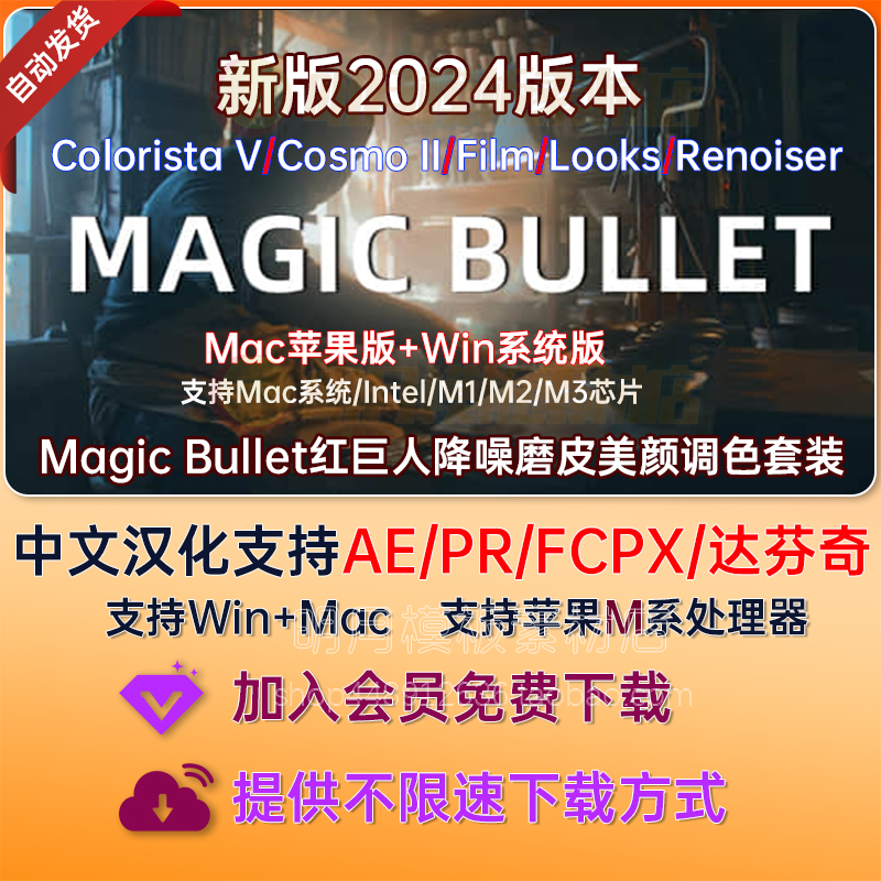 win+mac红巨人降噪磨皮美颜LOOKS调色插件AE/PR/达芬奇/FCPX插件 商务/设计服务 平面广告设计 原图主图