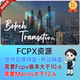 中文汉化 FCPX插件 40个优雅漂亮唯美粒子光斑散景转场预设