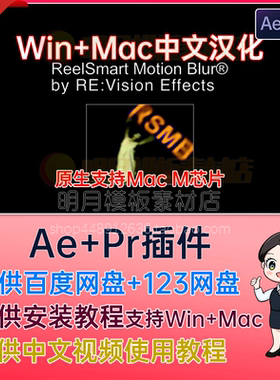 Win/Mac中文RSMB插件运动模糊AE插件PR插件ReelSmart Motion Blur