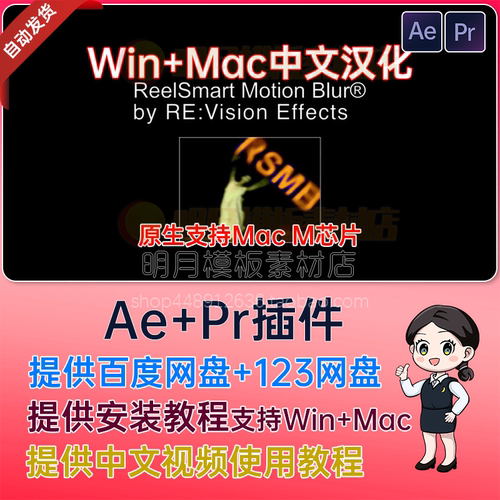 Win/Mac中文RSMB插件运动模糊AE插件PR插件ReelSmart Motion Blur