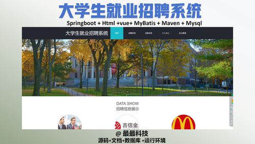 springboot 大学生就业招聘系统 vue java源码带数据库万字文档