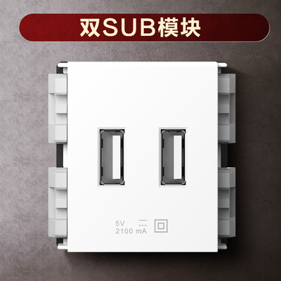 正泰new9e2100ma双USB插座模块